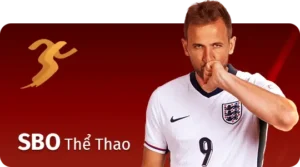 the thao sbo